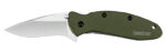 Scallion Drop Point 2.4" Olive Pktknife