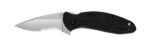 Scallion Drop Point 2.4" Black Serrated