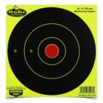 Birchwood Casey Dirty Bird 6" Yellow Bull's Eye Targets 100/ct