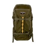 Tenzing Day Pack 2100 Backpack Olive Green
