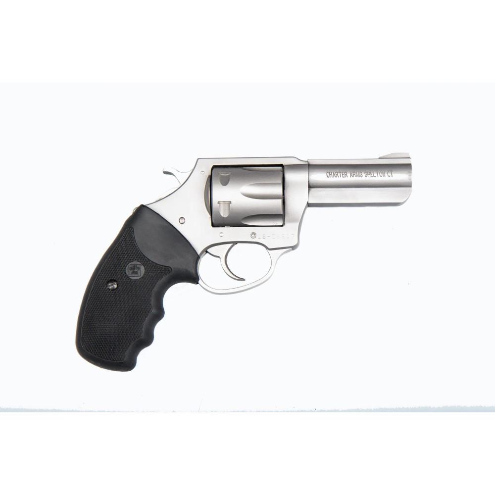 Charter Arms Pit Bull Handgun .380 ACP 6rd Capacity 3″ Barrel Stainless Steel